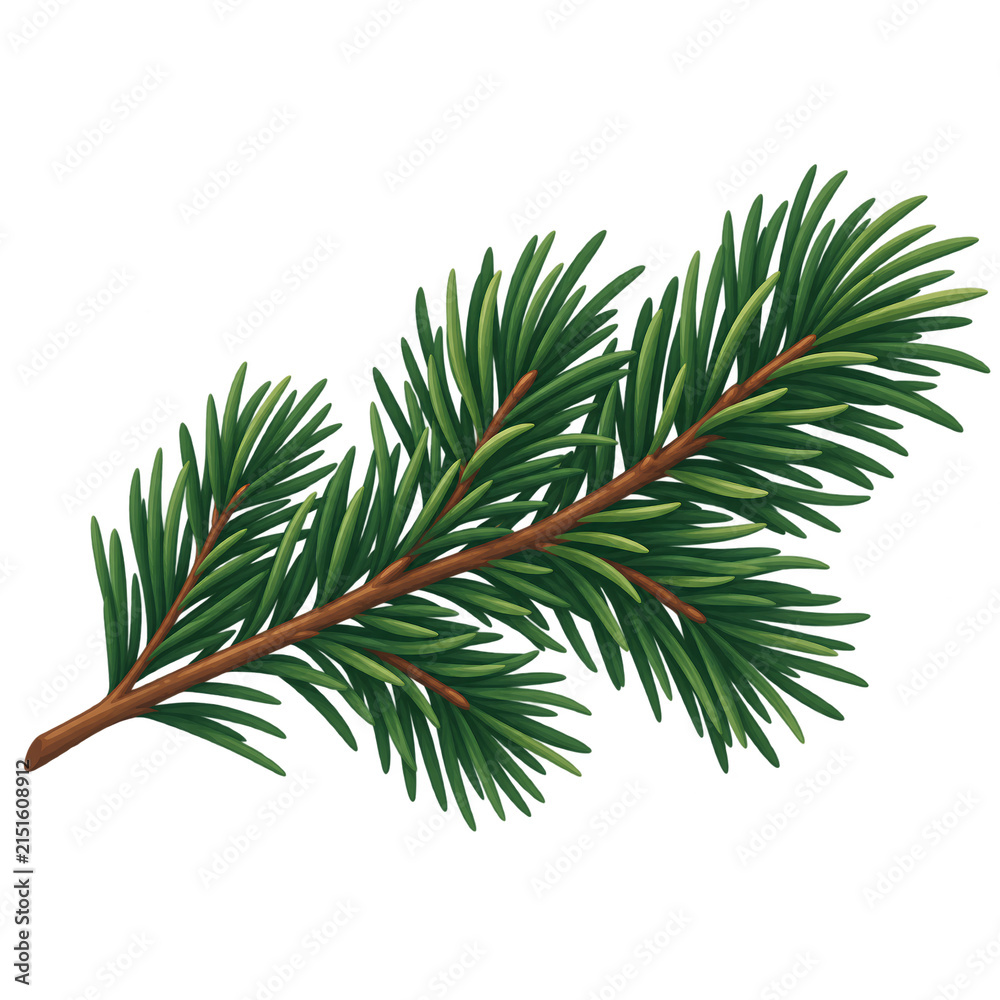 Fototapeta premium Fresh Evergreen Pine Sprig for Winter Holiday Designs