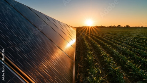 Solar Panels Reflecting Sunset Over Agricultural Field.