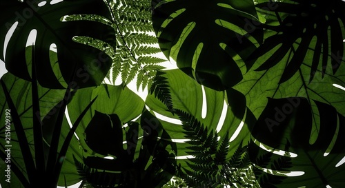 Lush Tropical Foliage With Backlighting Creating Dramatic Shadows