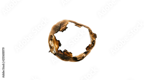 Burnt paper hole with charred edges, scorched circular burn mark on paper, vintage fire damaged texture for graphic design isolated on Transparent Background