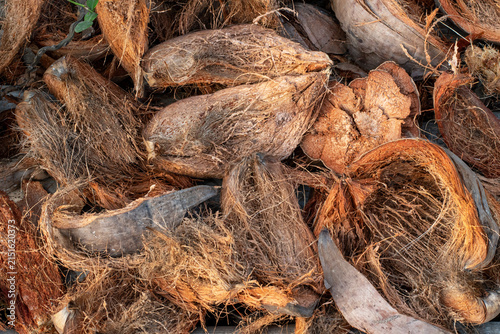 Quadro su tela Dry Coconut Husk Texture and Natural Brown Fiber Background, Coconut Shell Husk