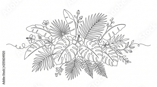 tropical line art