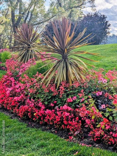 Tampere, Arboretum 