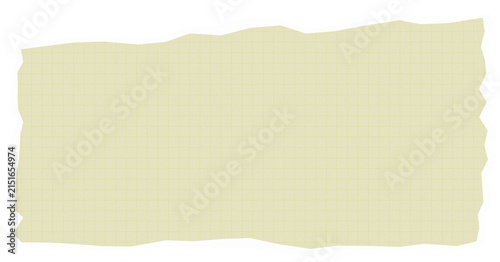 Empty lined torn paper with grid layout