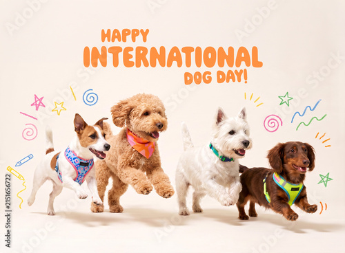 Happy International Dog Day with Four Playful Dogs and Colorful Doodles