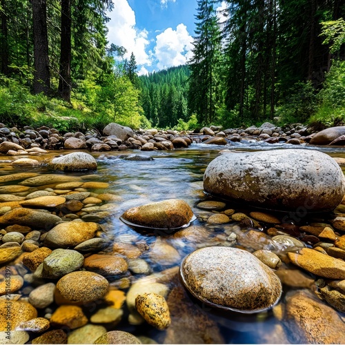 Serene Mountain River Flowing Through Lush Forest with Rocky Bed