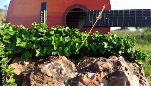 Guitar on rock with green plants.