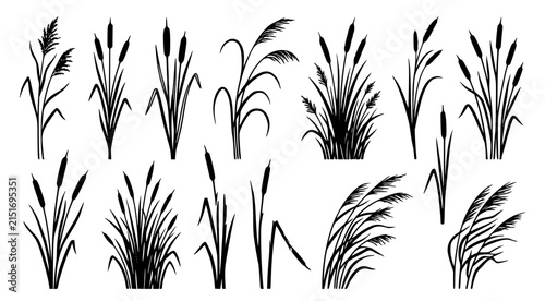 Set of black silhouette cattail plants and reeds for wetland and aquatic landscape design