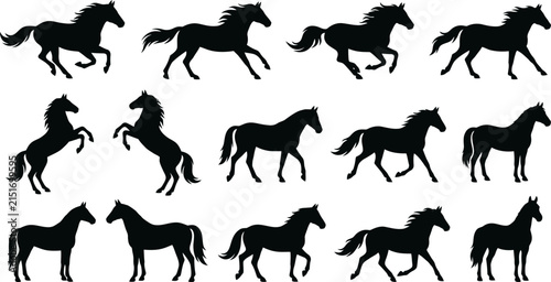 Foto Horse Silhouette Set, Black Animal Profile Icons, Running and Rearing Equine For