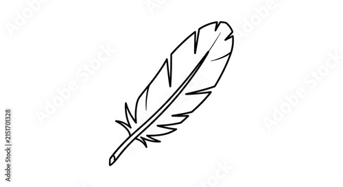 Quadro su tela A single feather on white background.