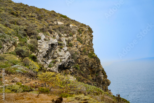 Quadro su tela Craggy rock outcrops with yellow wildflowers and windswept coastal scrub above t