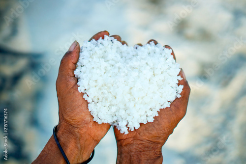 Close-up of farmer's cupped hands holding a mound of freshly harvested white coarse sea salt crystals. Highlights the raw crystalline texture, organic quality, and traditional sea salt harvesting.
