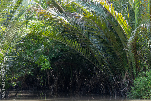 Canals of My Tho, Vietnam that offers a peaceful journey along narrow waterways