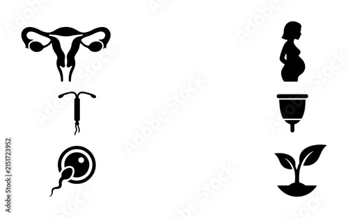 Foto Female Reproductive Health Icons: Fertility, Pregnancy, Menstruation, Conception