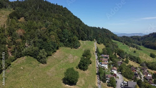 Forward drone flight following a herd of cows descending from the mountains through a forested road while cars wait behind the animals.