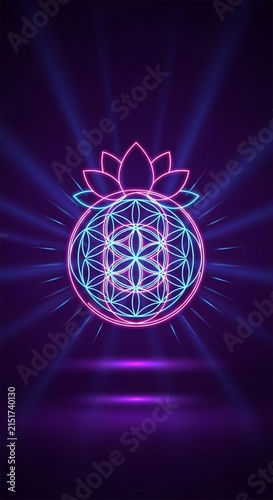 宇宙の光、生命の花。