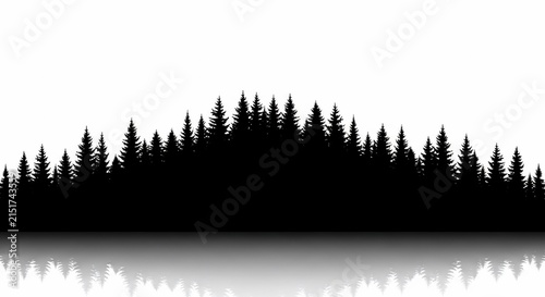 森の静寂、水面に映る影
