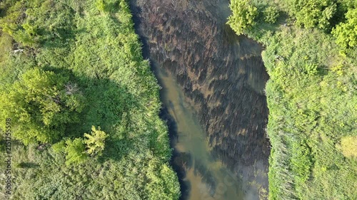 Widawka River Among Greenery
