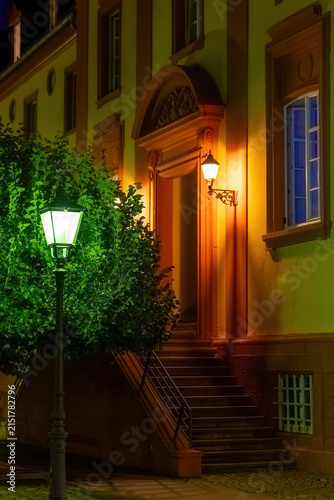 City street at night with a tree and glowing streetlight near a building entrance
