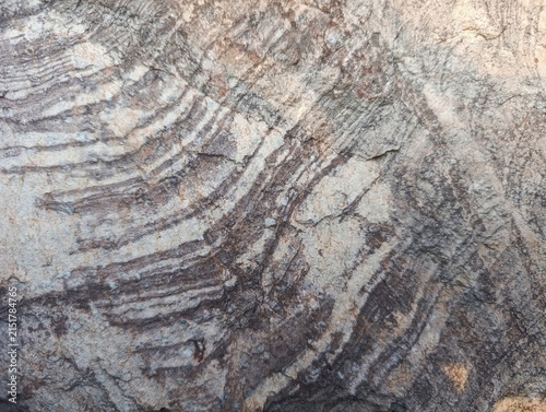 Natural rock surface with layered mineral patterns, rough weathered texture, and earthy gray and brown tones. Organic stone background for architecture, construction and interior design