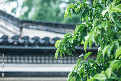 Fotografie Wet green leaves hang in the foreground, with traditional tiled roofs and falling rain in the background, creating a serene natural scene