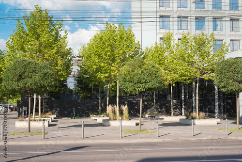 Modern Urban Public Space with Trees and Contemporary Architecture
