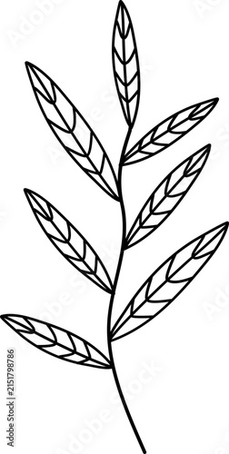 floral illustration