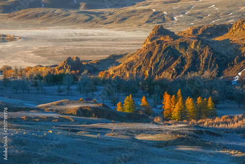 Adventure travel in Altai mountains: scenic autumn valley with golden larch trees at sunrise.