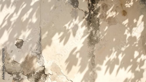 Textured wall with dappled sunlight and leaf shadows