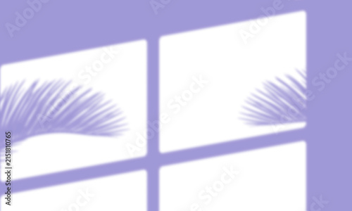 Window shadow overlay with palm leaf silhouette on a purple background isolated on transparent background