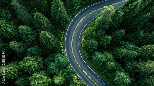 Aerial high angle view of winding asphalt road with double yellow line curving through dense lush green pine forest on warm summer day