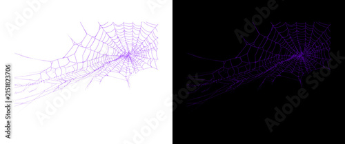 Purple spider web on white and black background, spooky halloween spiderweb graphic, creepy cobweb design element