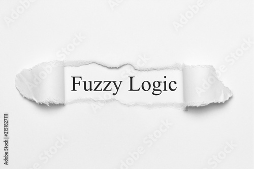 Fototapeta Fuzzy Logic 