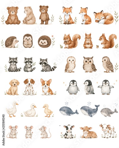 set of illustration, cute illustration, adorable animals