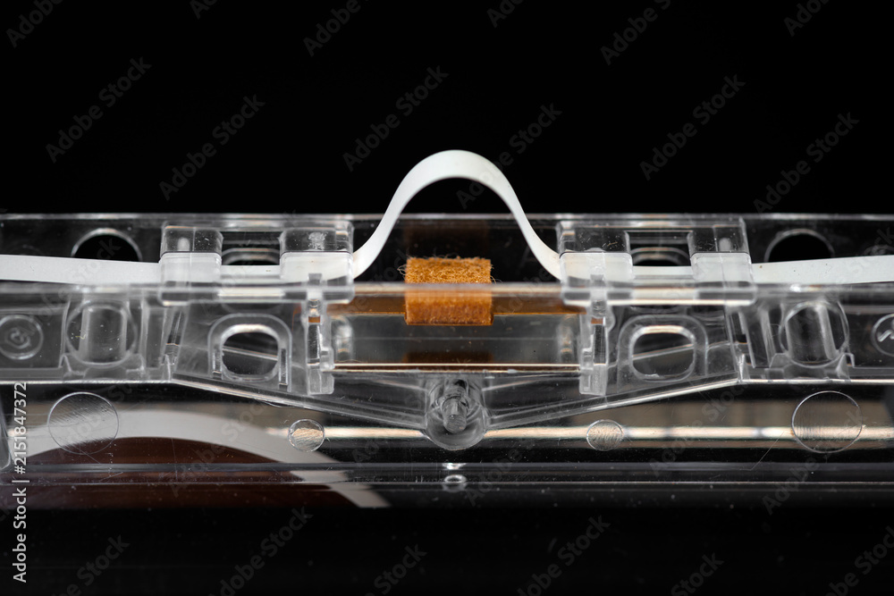 Naklejka premium Magnetic tape head opening and pressure pad close up of audio cassette