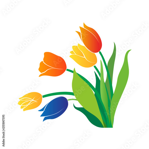 Make a Professional Tulip Flower Vector