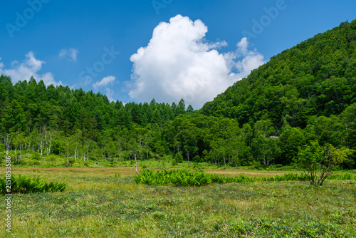 湿原の青空