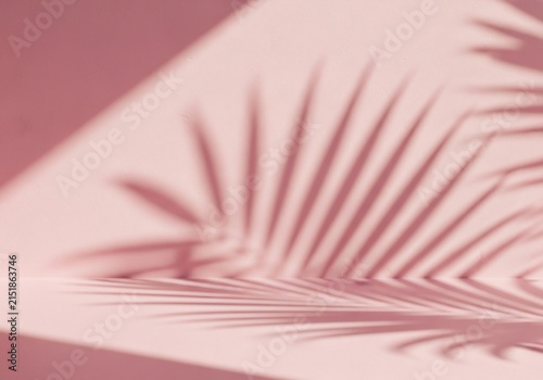 Soft pink hues embrace delicate palm leaf shadows, a serene, sunlit embrace.