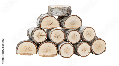 Stack of Birch Firewood Logs with Bark
