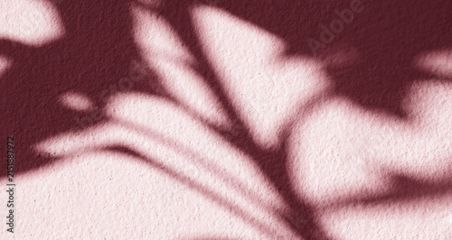 Wall shadow pink premium gradation background texture blur gradient light pastel abstract luxury premium mockup peach color backdrop template valentine summer spring overlay mockup for presentation