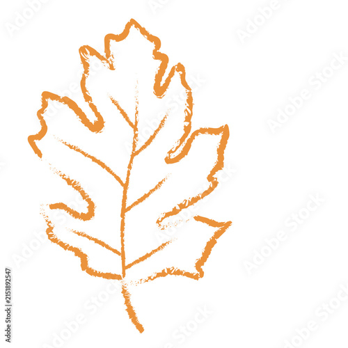 Hand Drawn Autumn Leaf Crayon