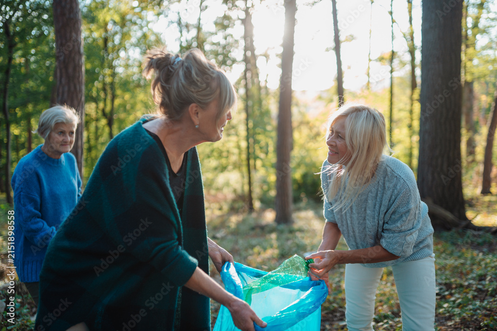 Fototapeta premium Senior women volunteering for nature protection and litter collection.
