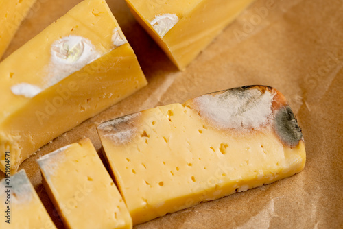 old orange cheese covered in mold, close up
