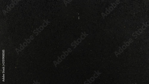 Timelapse of onion roots growing in a rhizobox over 13 days, with a downward tracking view following root development through soil. Horizontal video for botanical and scientific projects.