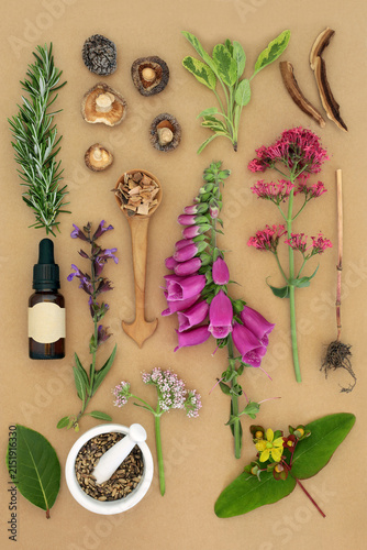 Nature based herbs, flowers, herbal medicine ingredients. Traditional natural alternative healthcare on brown paper background.