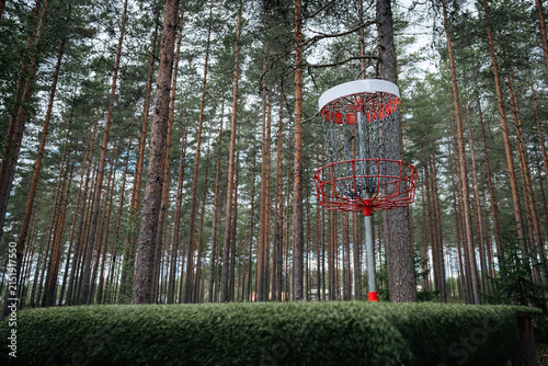 red and white disc golf basket in pine woods