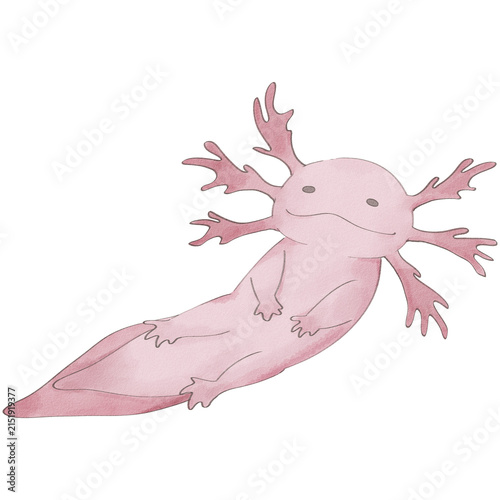 Cute axolotl watercolor pastel illustration