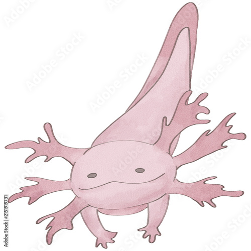 Cute axolotl watercolor pastel illustration