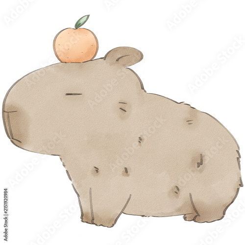 Cute capybara watercolor illustration with orange on head