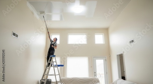 Home Renovation Project Interior Painting Ceiling White Walls Ladder